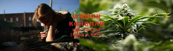 амф Новокубанск