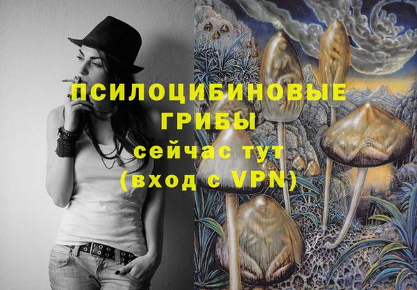соль ск Верея