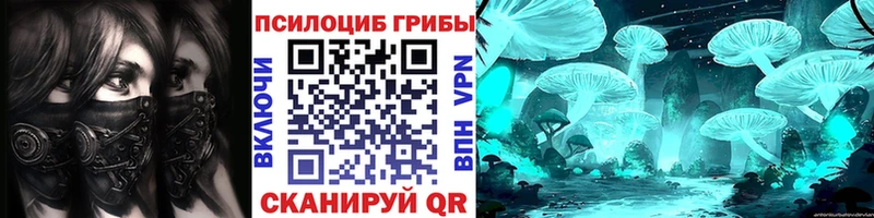 где найти наркотики  Пикалёво  Галлюциногенные грибы Cubensis 